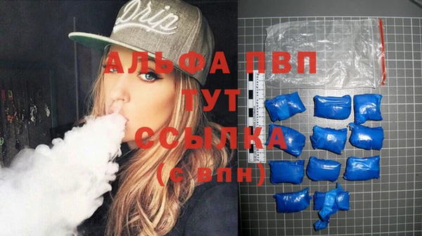 индика Вяземский