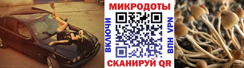 Псилоцибиновые грибы Cubensis  наркотики  Катав-Ивановск 